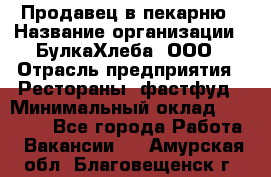 Продавец в пекарню › Название организации ­ БулкаХлеба, ООО › Отрасль предприятия ­ Рестораны, фастфуд › Минимальный оклад ­ 28 000 - Все города Работа » Вакансии   . Амурская обл.,Благовещенск г.